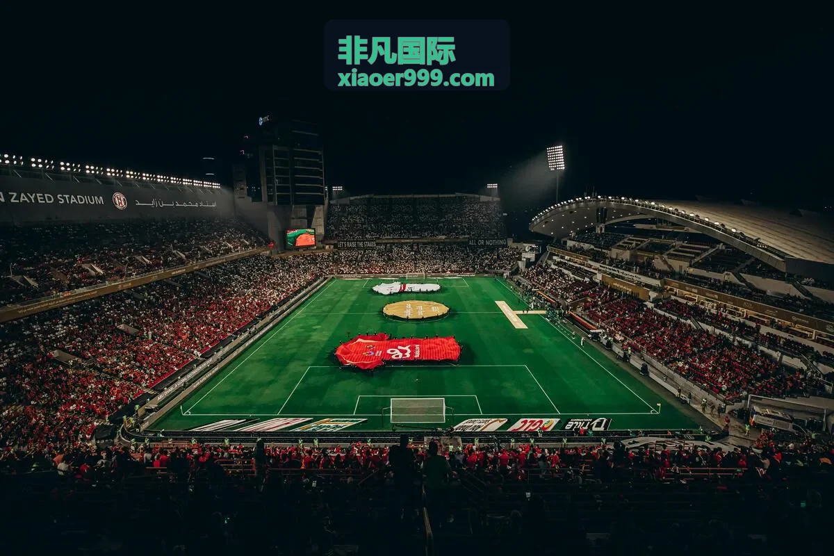非凡国际合作案例专题合集封面